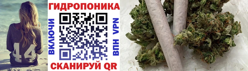 Канабис конопля  Купить закладки  Городовиковск 